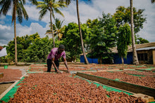 Load image into Gallery viewer, 65% Tanzania, Kilombero